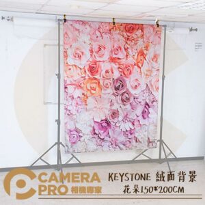KEYSTONE 絨面背景布 花朵 150*200CM 不反光 可清洗熨燙 ASSD015 公司貨