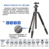 BENRO 百諾 C1682TB0 旅遊天使B系列反折碳纖維三腳架套組 送原廠腳架袋 勝興公司貨