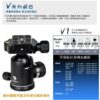 BENRO 百諾 V1 V系列阻尼可調球型雲台 V-1 勝興公司貨