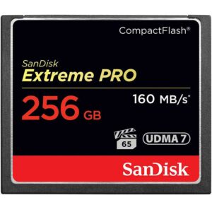 Sandisk Extreme PRO 256GB CF 1067X 160MB/s 256G 增你強公司貨