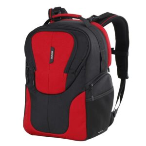 BENRO Reebok 200N 百諾 銳步系列 雙肩攝影背包 相機包 後背包 勝興公司貨
