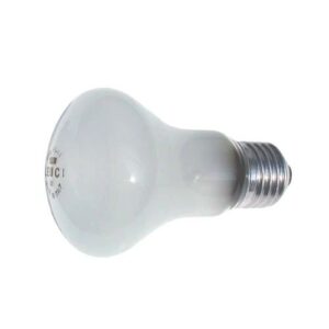 Elinchrom 對焦燈泡 模擬燈泡 90V 100W適用 ELC500 RX4 EL23006 公司貨
