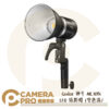 Godox 神牛 ML30Bi LED 攝影燈 雙色溫 外拍燈 神牛卡口 可加購電池 公司貨