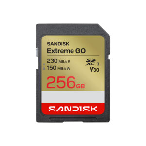 Alternative view of SanDisk Extreme GO SDXC 256G 256GB 230MB/s 記憶卡 增你強公司貨