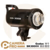 Godox 神牛 SK300IIV 攝影棚燈 300W SK300II-V 閃光燈 外拍燈 開年公司貨