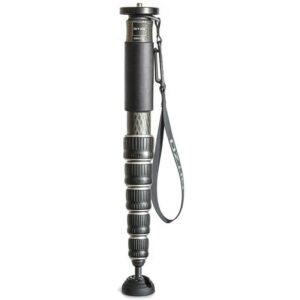 Gitzo eXact GM4562 碳纖維單腳架 4號 6節 正成公司貨