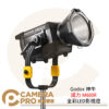 Godox 神牛 諾力 M600R 全彩LED影視燈 保榮卡口 1800K-10000K 攝影燈 公司貨