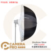 Elinchrom 半透明傘用柔光布 105cm 41吋 不含傘 反射傘 柔光罩 EL26761 公司貨