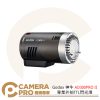 Godox 神牛 AD300PRO II 專業外拍TTL閃光燈 300W 攝影 神牛卡口 棚拍 公司貨